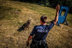 Policjant szkolący psa służbowego
