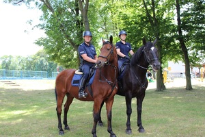 Dwóch policjantów na służbowych koniach