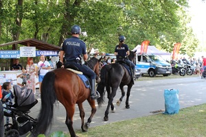 Policjanci na koniach służbowych jadą miedzy odwiedzającymi piknik