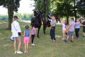 Uczestnicy pikniku obok koni słuzbowych